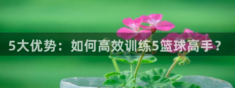 5大优势：如何高效训练5篮球高手？