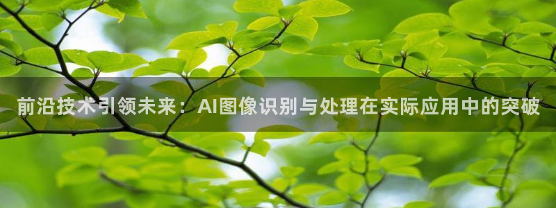 前沿技术引领未来：AI图像识别与处理在实际应用中的突破