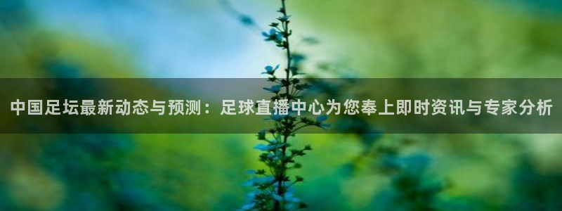 中国足坛最新动态与预测：足球直播中心为您奉上即时资讯与专家分析
