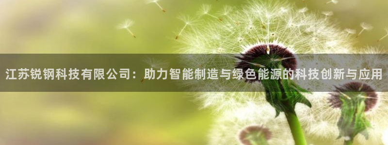 江苏锐钢科技有限公司：助力智能制造与绿色能源的科技创新与应用
