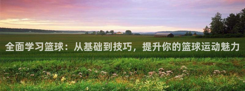 全面学习篮球：从基础到技巧，提升你的篮球运动魅力