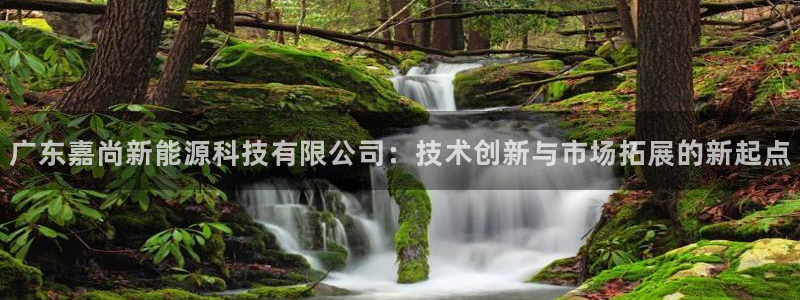 广东嘉尚新能源科技有限公司：技术创新与市场拓展的新起点