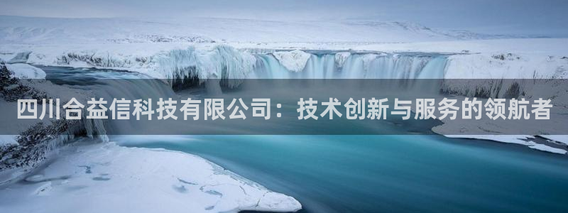 四川合益信科技有限公司：技术创新与服务的领航者
