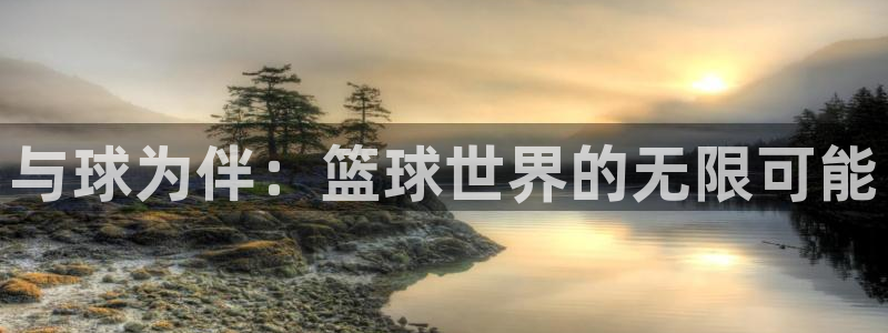 与球为伴：篮球世界的无限可能