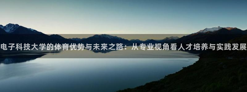 电子科技大学的体育优势与未来之路：从专业视角看人才培养与实践发展