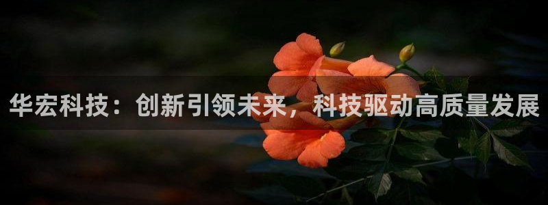 华宏科技：创新引领未来，科技驱动高质量发展