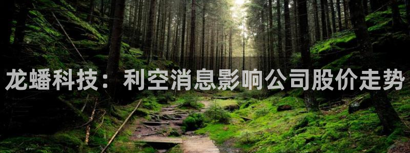 龙蟠科技：利空消息影响公司股价走势