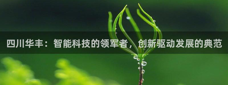 四川华丰：智能科技的领军者，创新驱动发展的典范