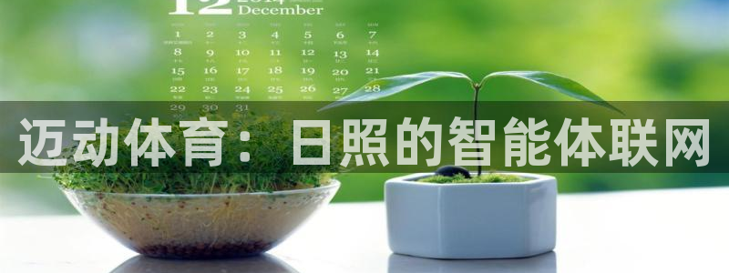 迈动体育：日照的智能体联网