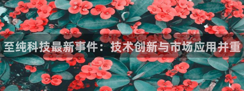 至纯科技最新事件：技术创新与市场应用并重